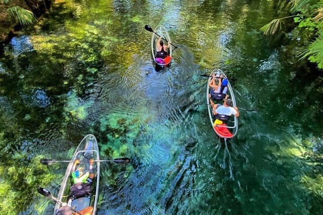 Glass Bottom Kayak Tours of Silver Springs - Photo 1 of 20